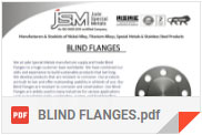 Blind Flanges PDF