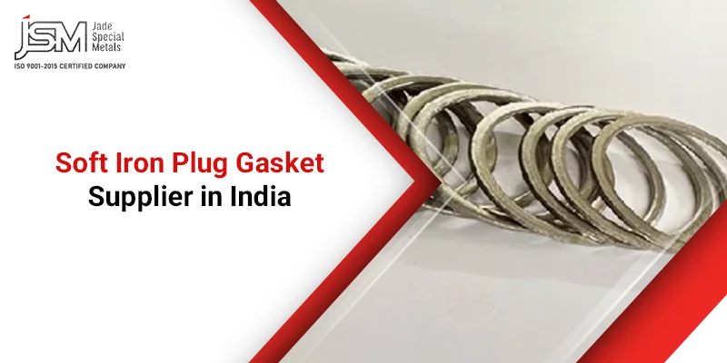 SOFT IRON PLUG GASKET Supplier in India