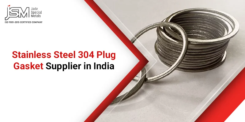 Stainless Steel 304 Plug Gasket Supplier in India