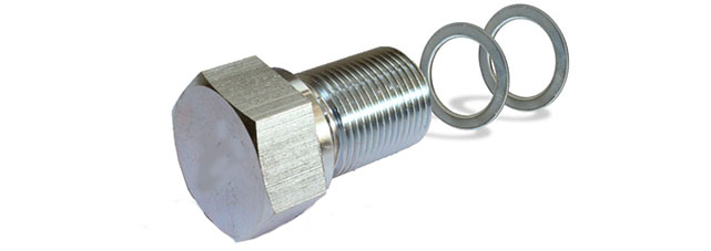 Stainless Steel 304 threaded plug