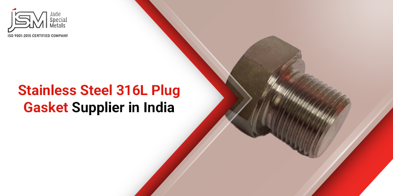 Stainless Steel 316L Plug Gasket Supplier in India