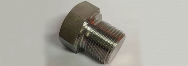 Stainless Steel 316L plug gasket