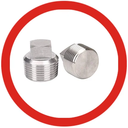 SS 304 Threaded Header Plugs SS 304 Threaded Header Plugs