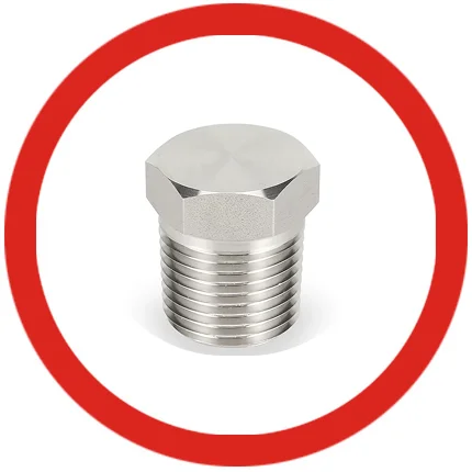 SS 316 Blind Header Plugs SS 316 Blind Header Plugs