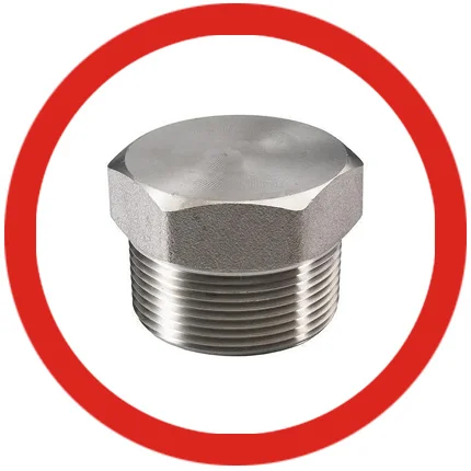 SS 316 Socket Weld Header Plugs SS 316 Socket Weld Header Plugs