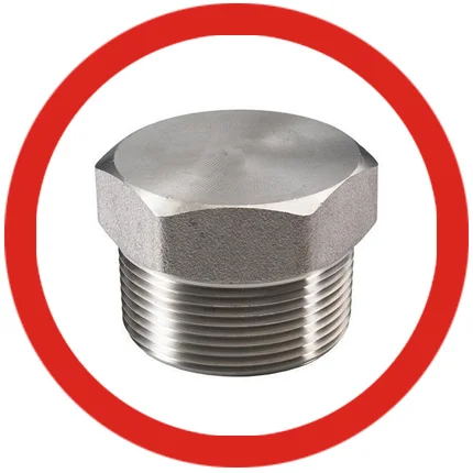 SS 316L Header Plugs SS 316L Header Plugs