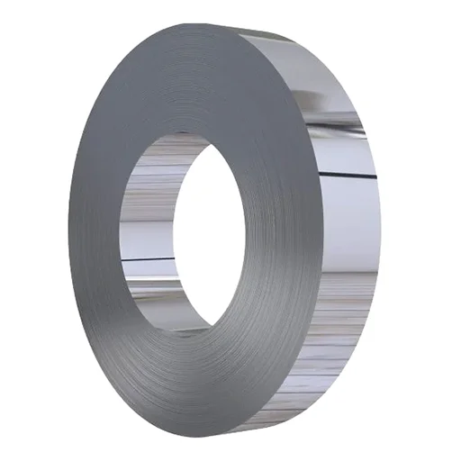 Super Duplex Steel Strips