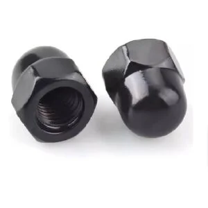 Cap-Nuts-300x300 Cap-Nuts-300x300