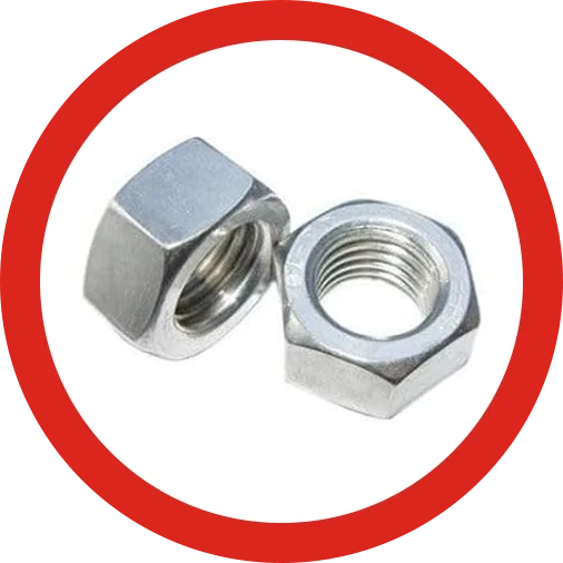 Hex Nuts